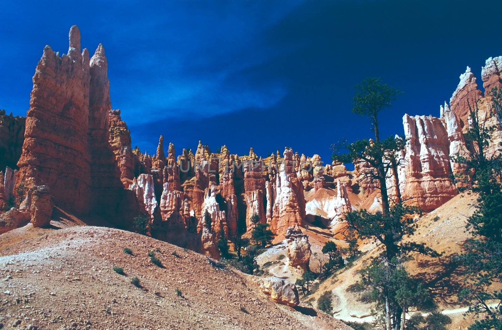 Bryce Canyon National Park is a national park located in southwestern Utah in the United States. Contained within the park is Bryce Canyon. Despite its name, this is not actually a canyon, but rather a giant natural amphitheater created by erosion along the eastern side of the Paunsaugunt Plateau. Bryce is distinctive due to its geological structures, called hoodoos, formed from wind, water, and ice erosion of the river and lakebed sedimentary rocks. The red, orange and white colors of the rocks provide spectacular views to visitors.