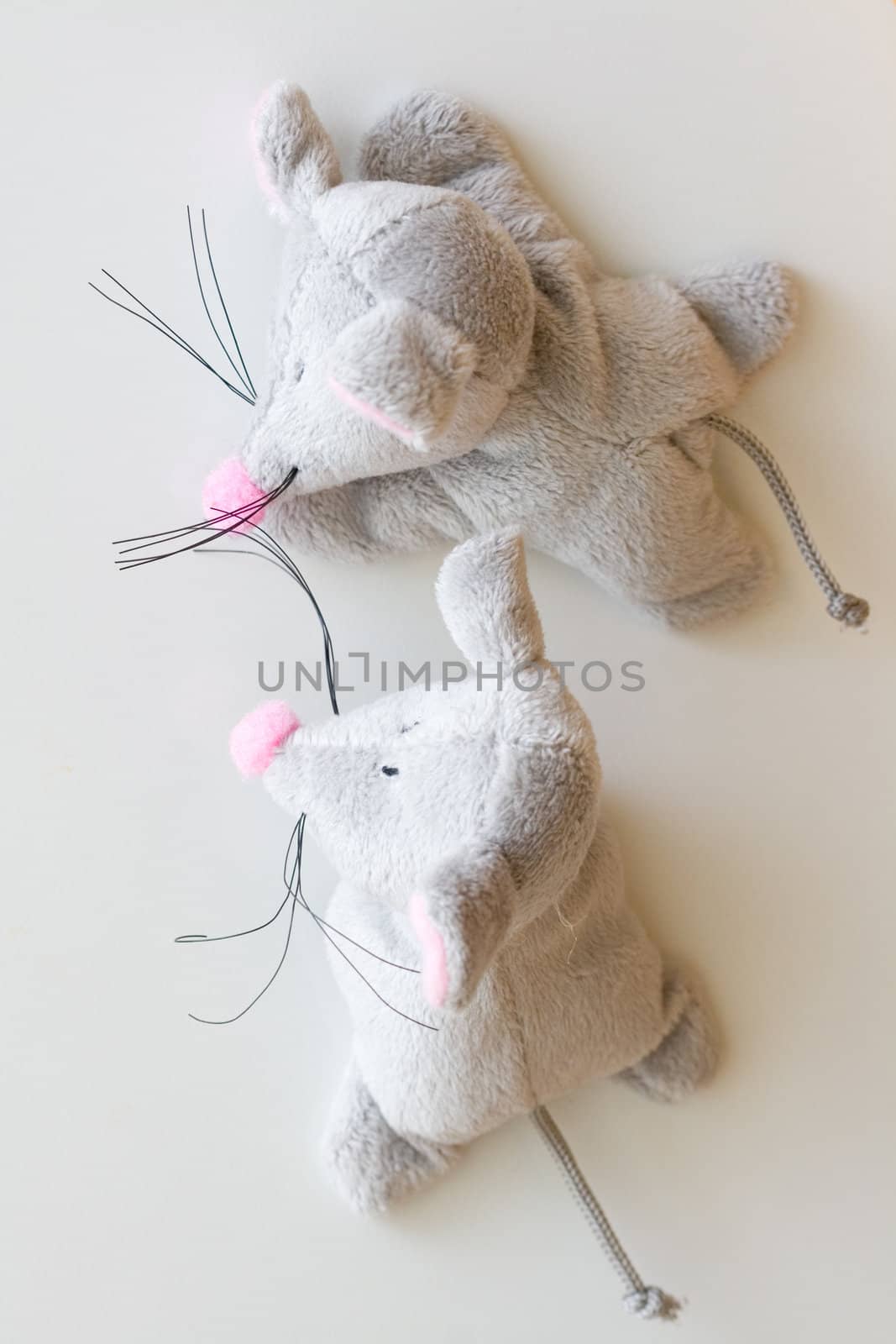 two gray toy mouses on gray background