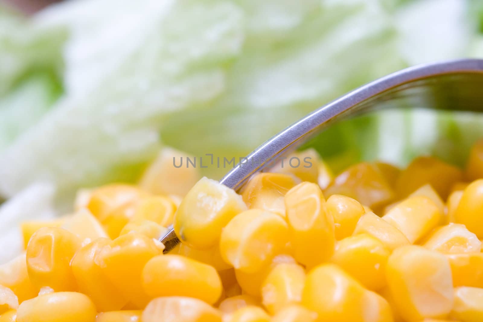 korn and a fork on greensalad background