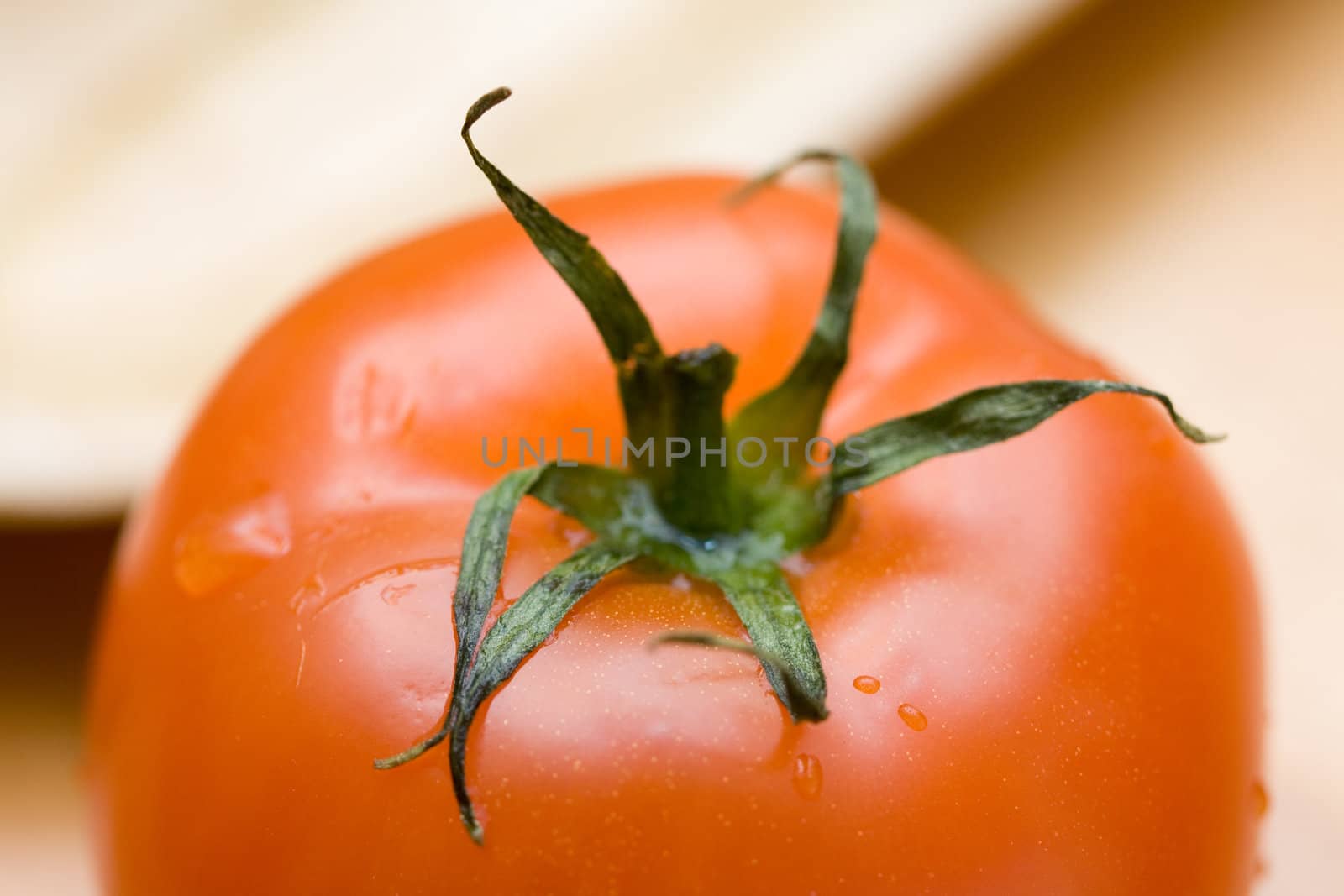 tomato and water drops close up