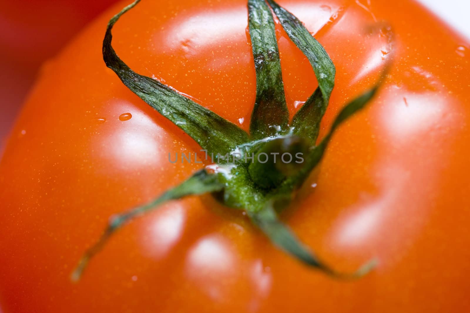 tomato and water drops close up