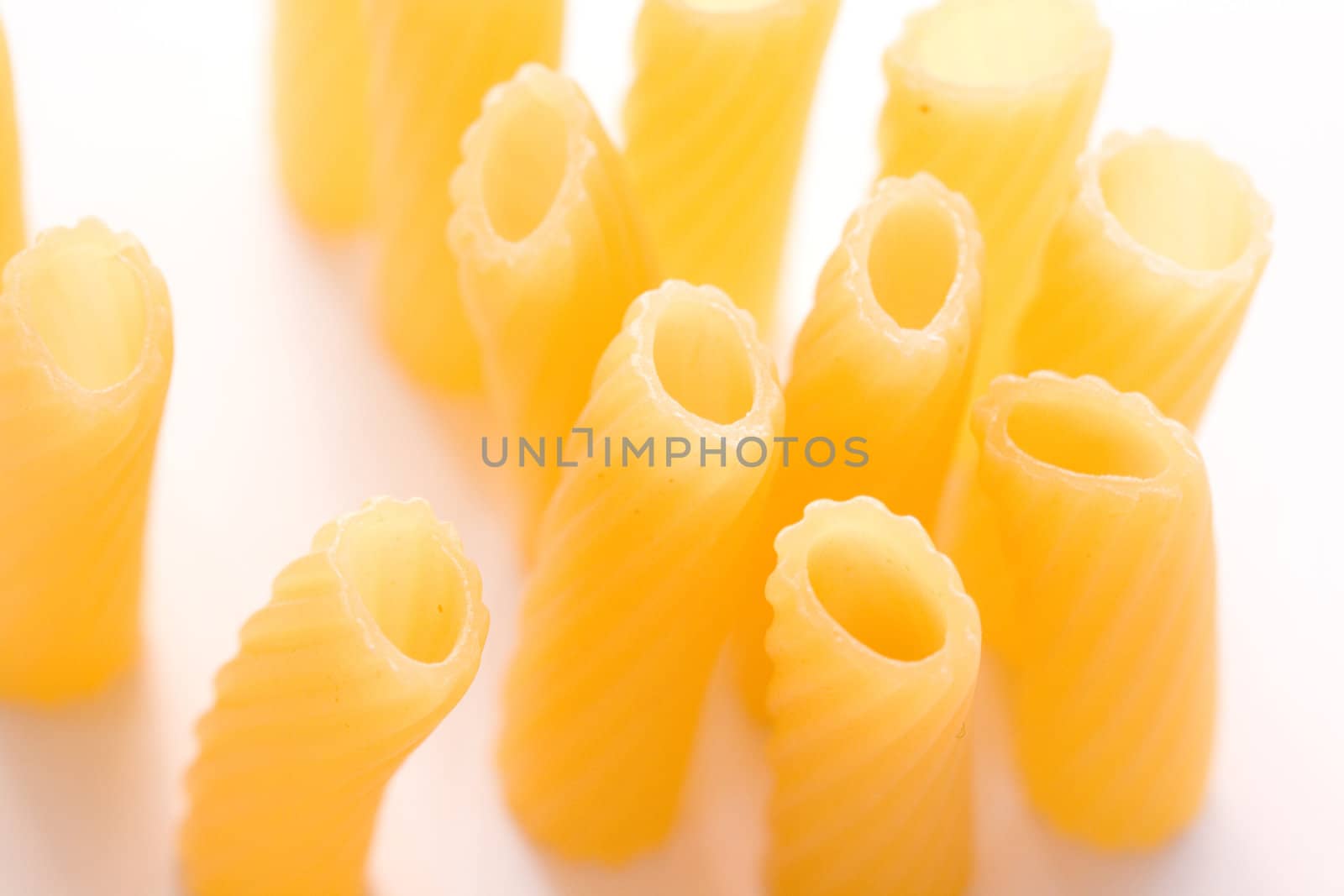 composition of yellow macaroni (tubule)