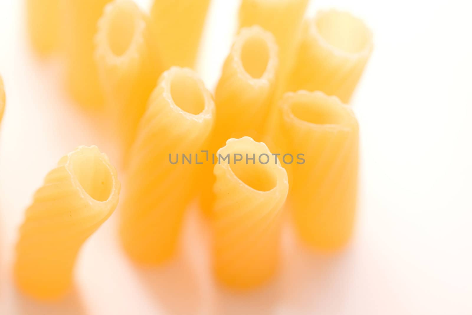 composition of yellow macaroni (tubule)