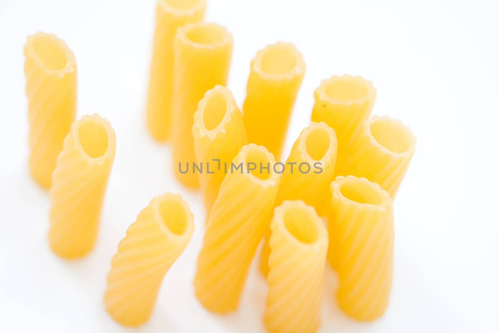 composition of yellow macaroni (tubule)