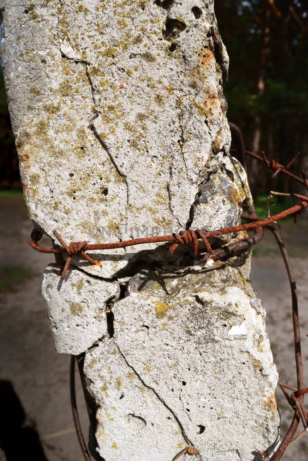 concrete post and barbed wire by Sergieiev