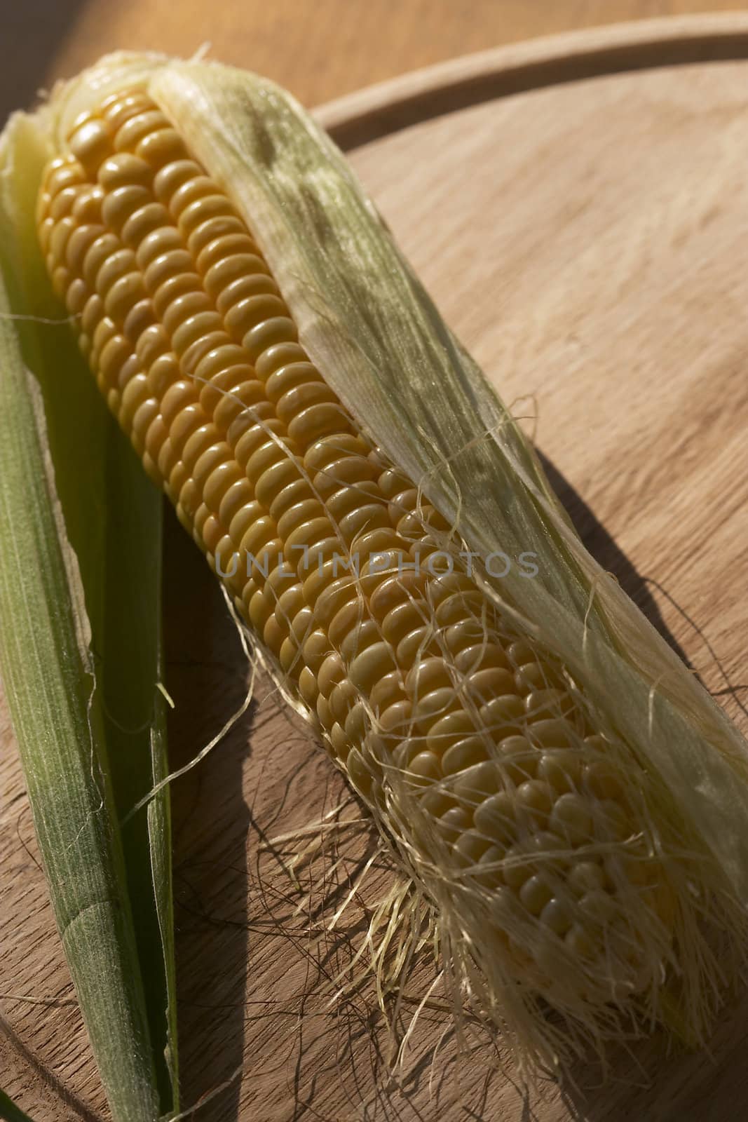 corn
