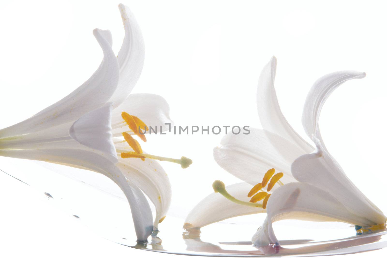 The abstract image from three colors on a white background