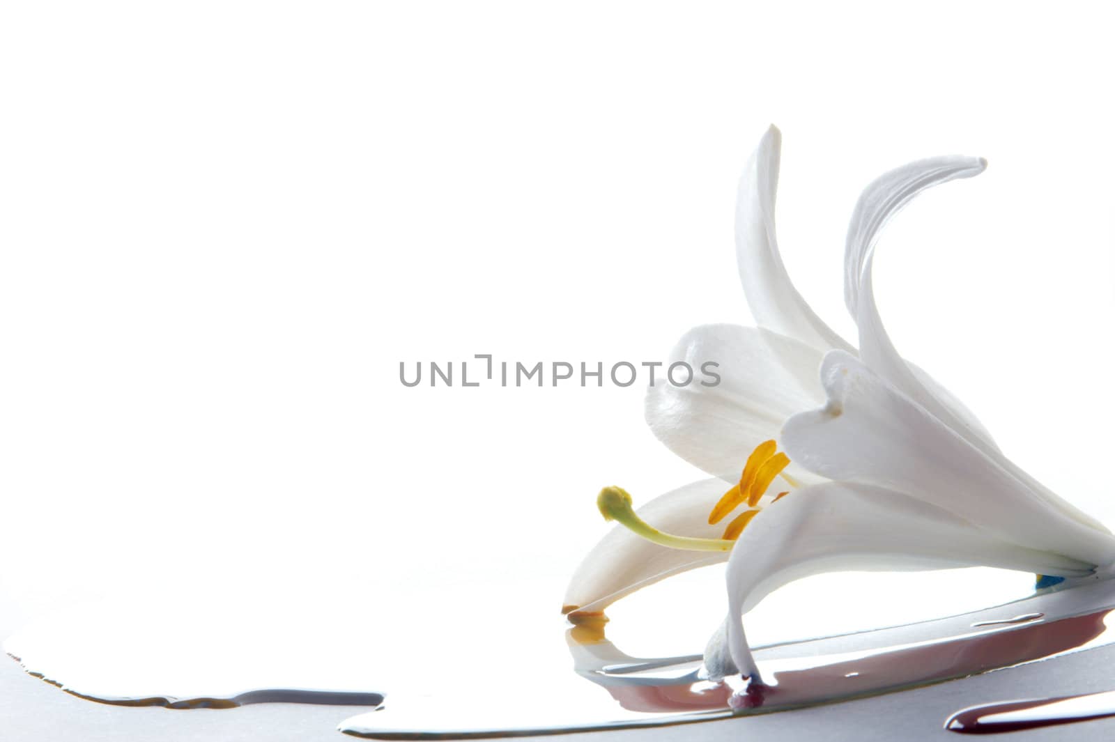 The abstract image from three colors on a white background