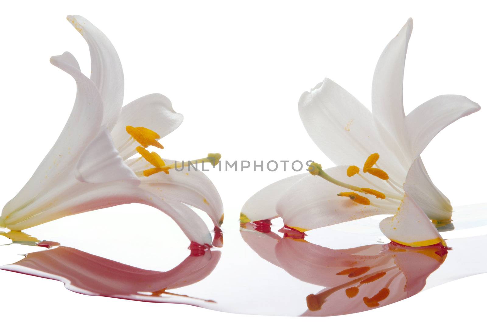 The abstract image from three colors on a white background