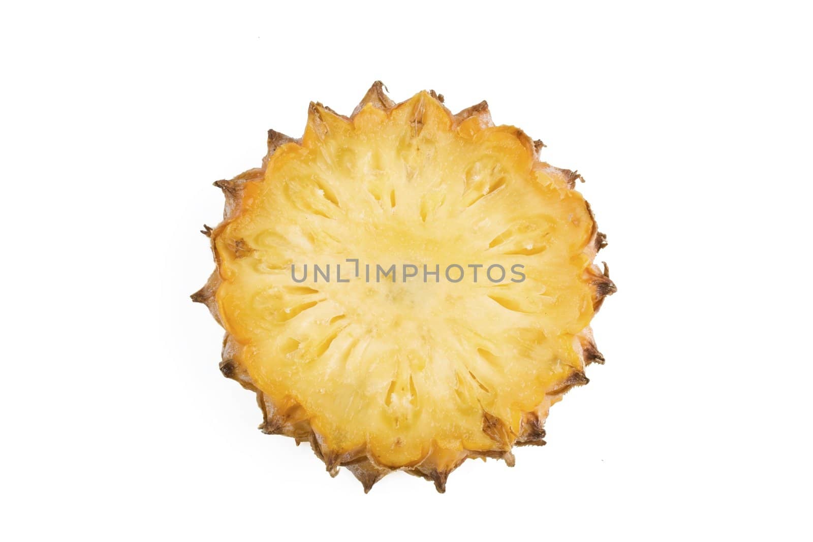 Slice of Pineapple with rind on white background.