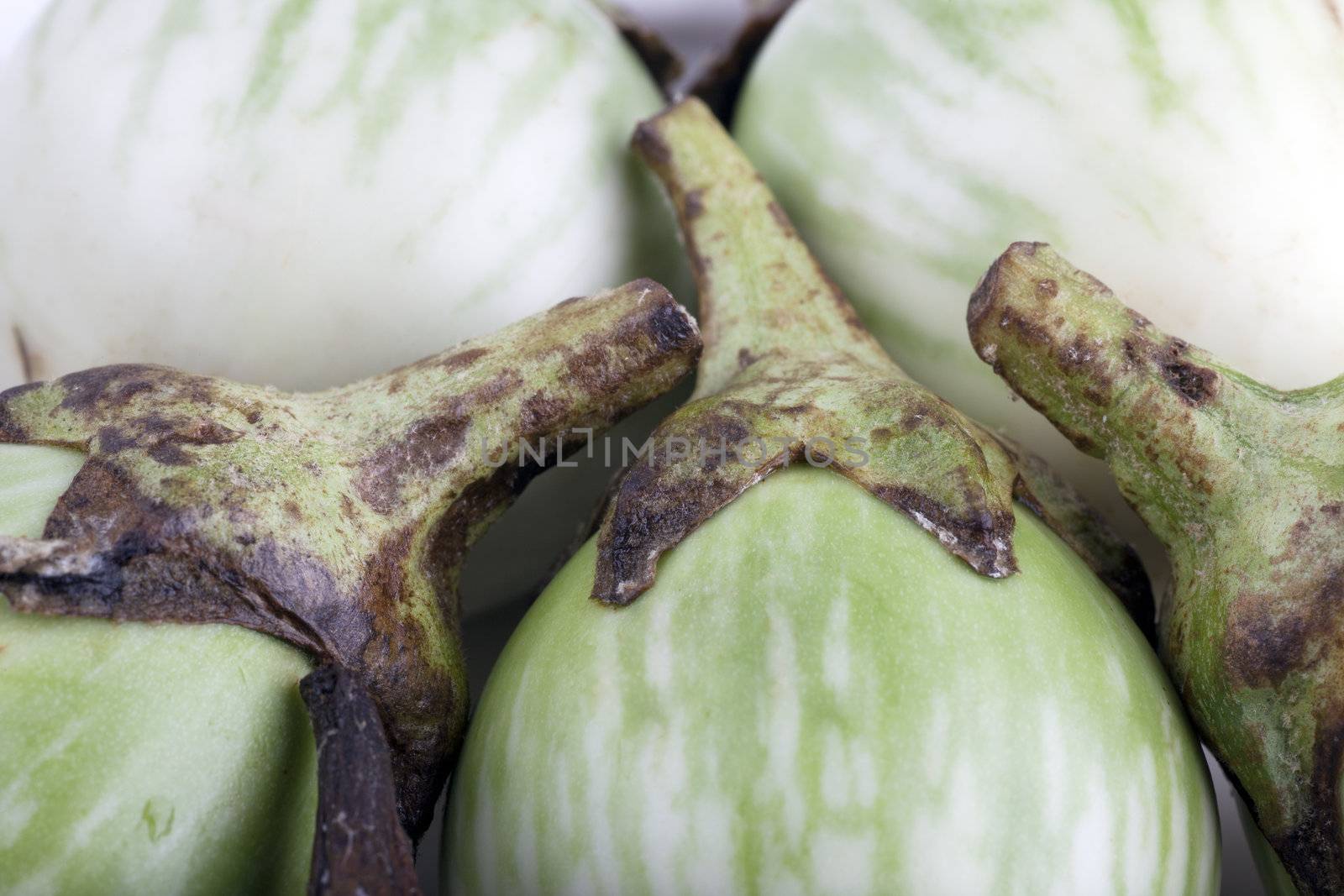 Macro of Thai eggplant.