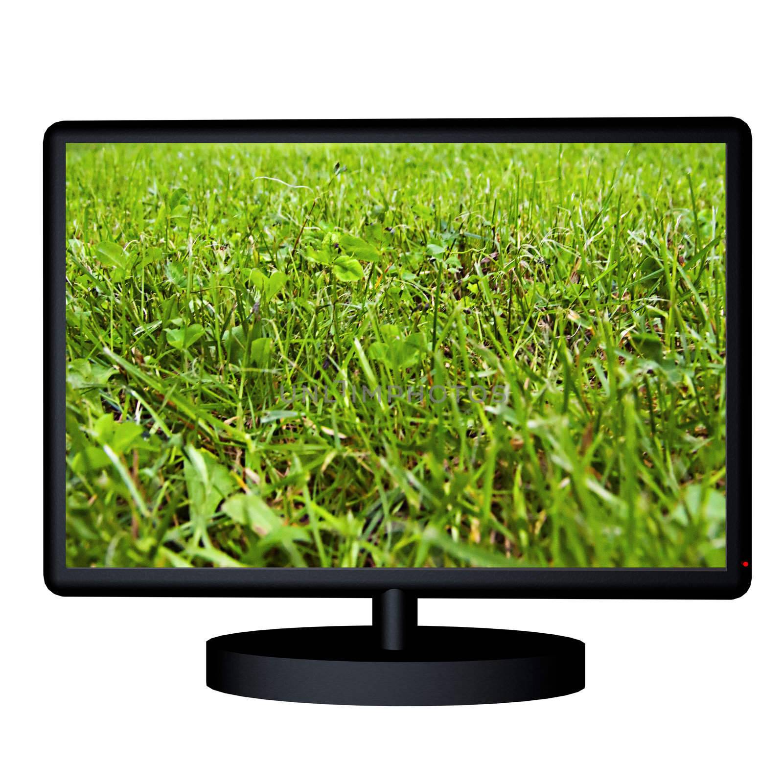 Strict closeup of green grass in a black tv screen