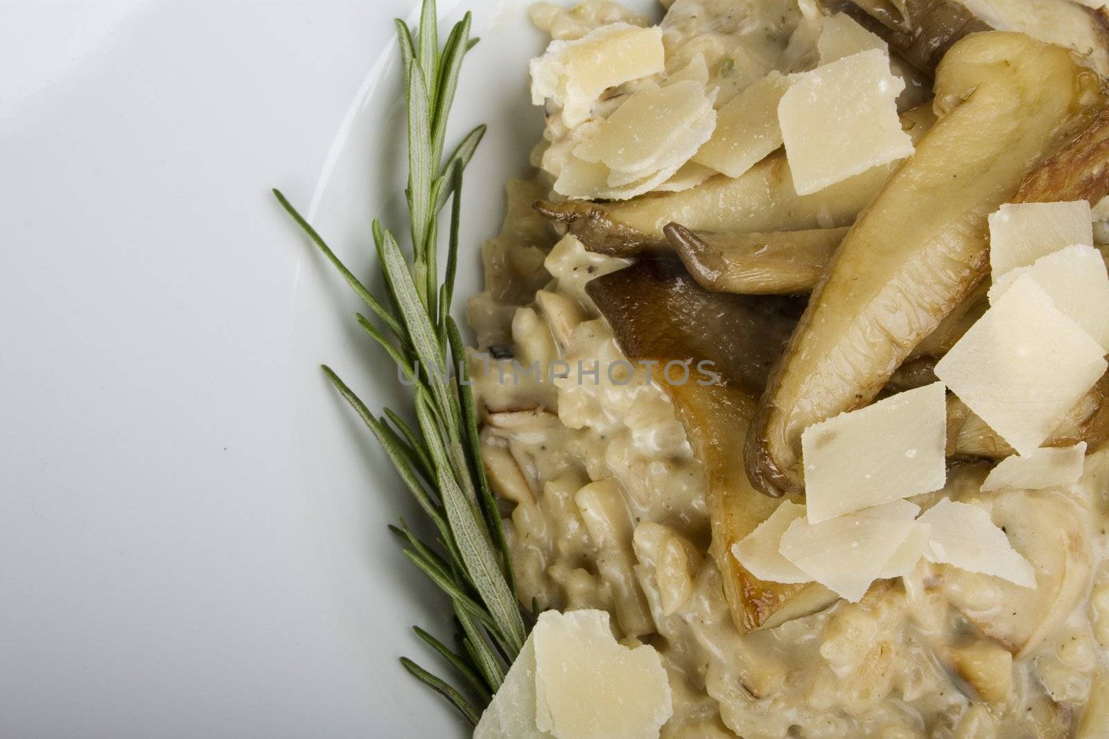 Mushroom risotto with rosemary and Italian cheese.  