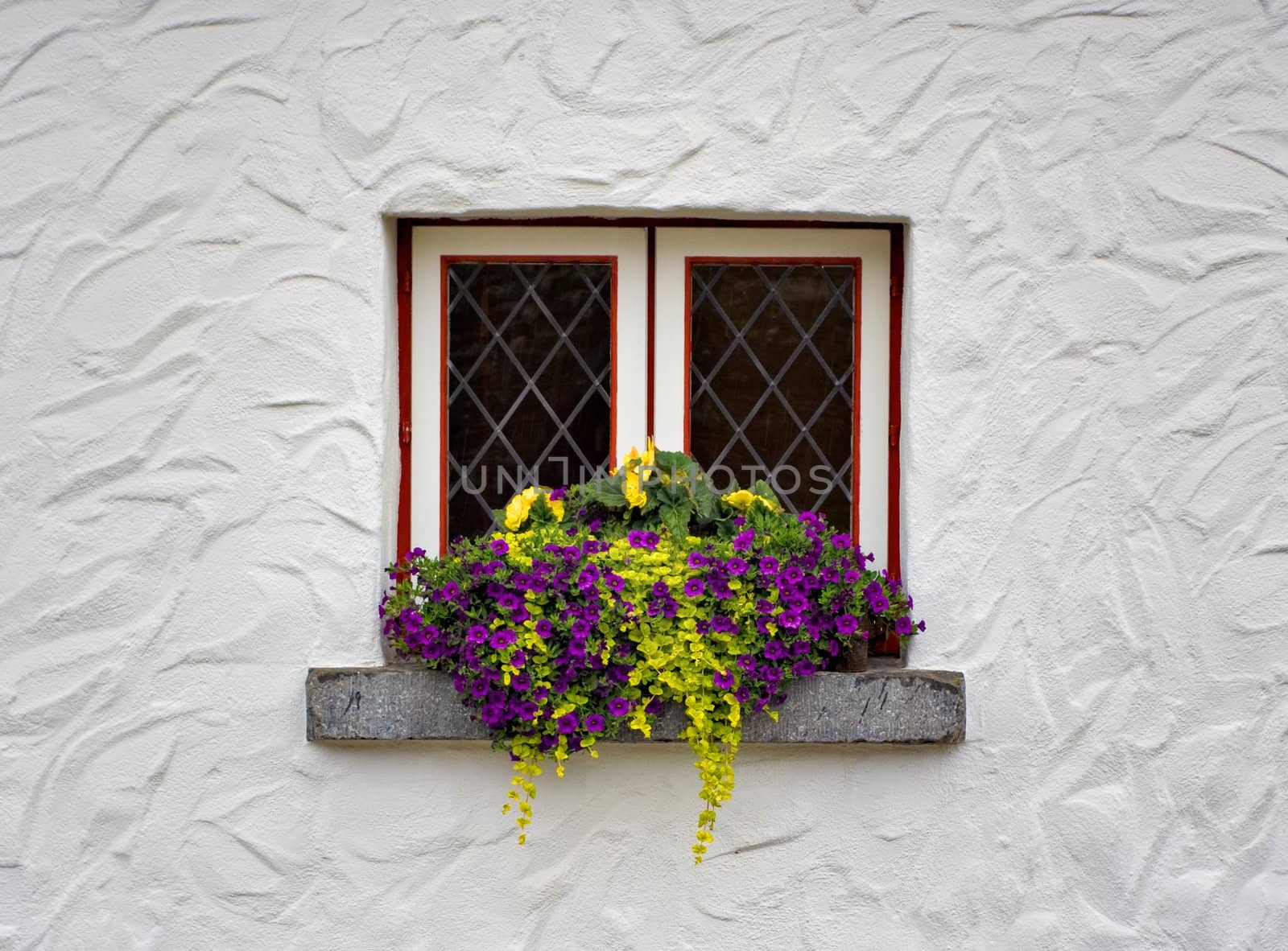 Flowers on the window sill of a white building