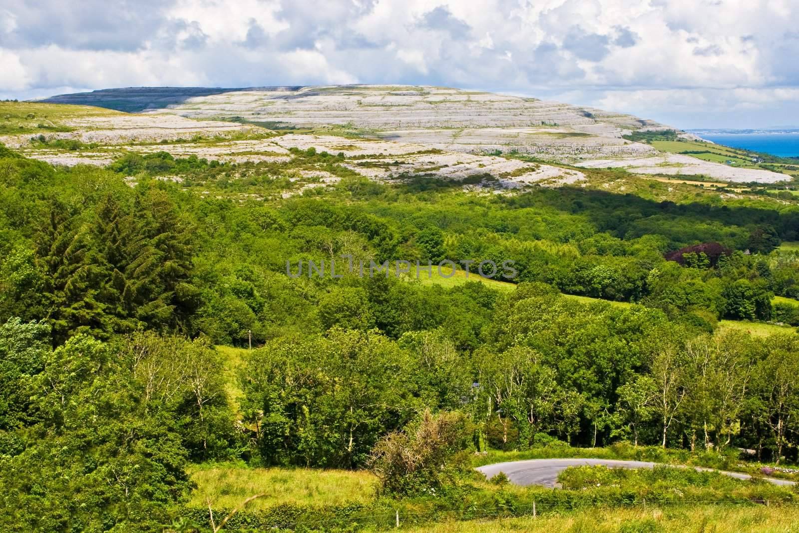 Landscape of County Clare, Ireland. Trees and a winding road are in the foreground. A hill of The Burren and the sky are in the background.
