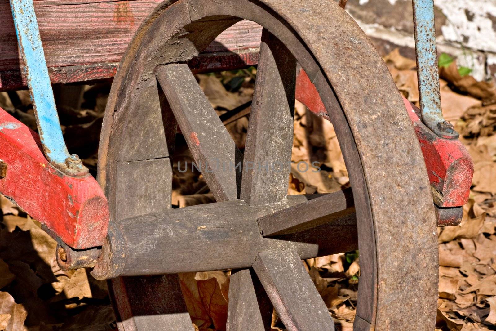 Old wheelbarrow wheel by sbonk