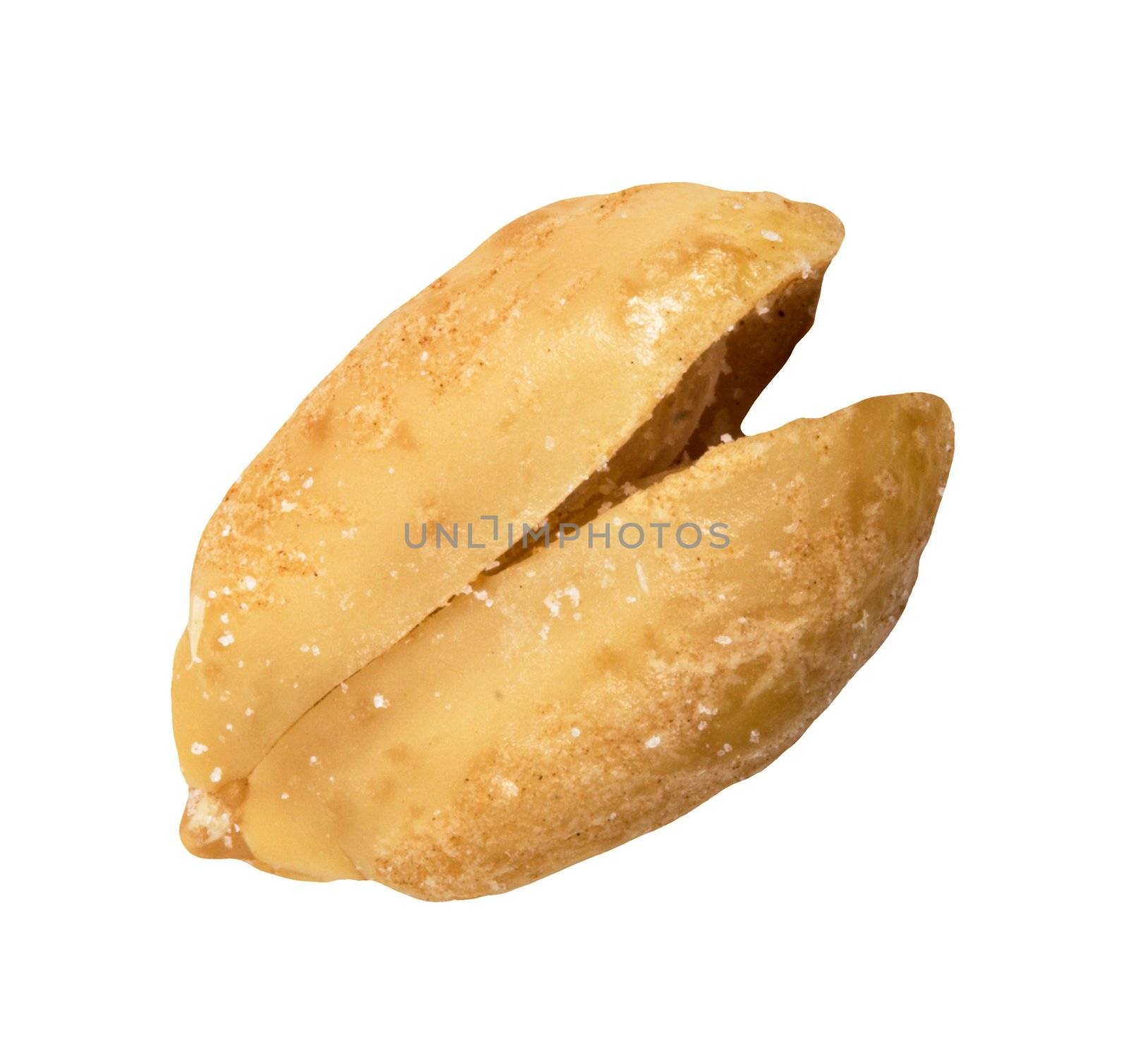 A peanut isolated on a white background