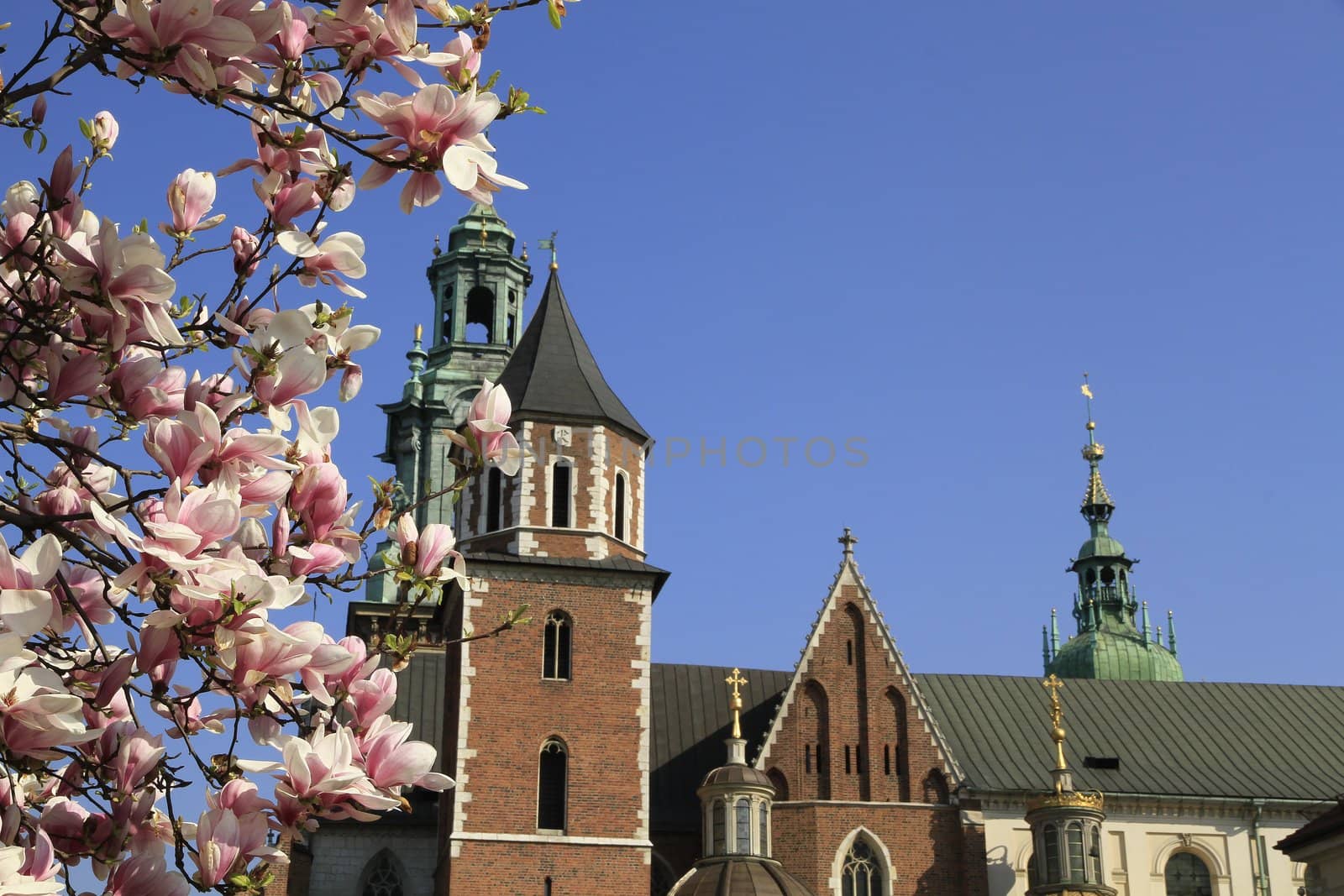 wawel