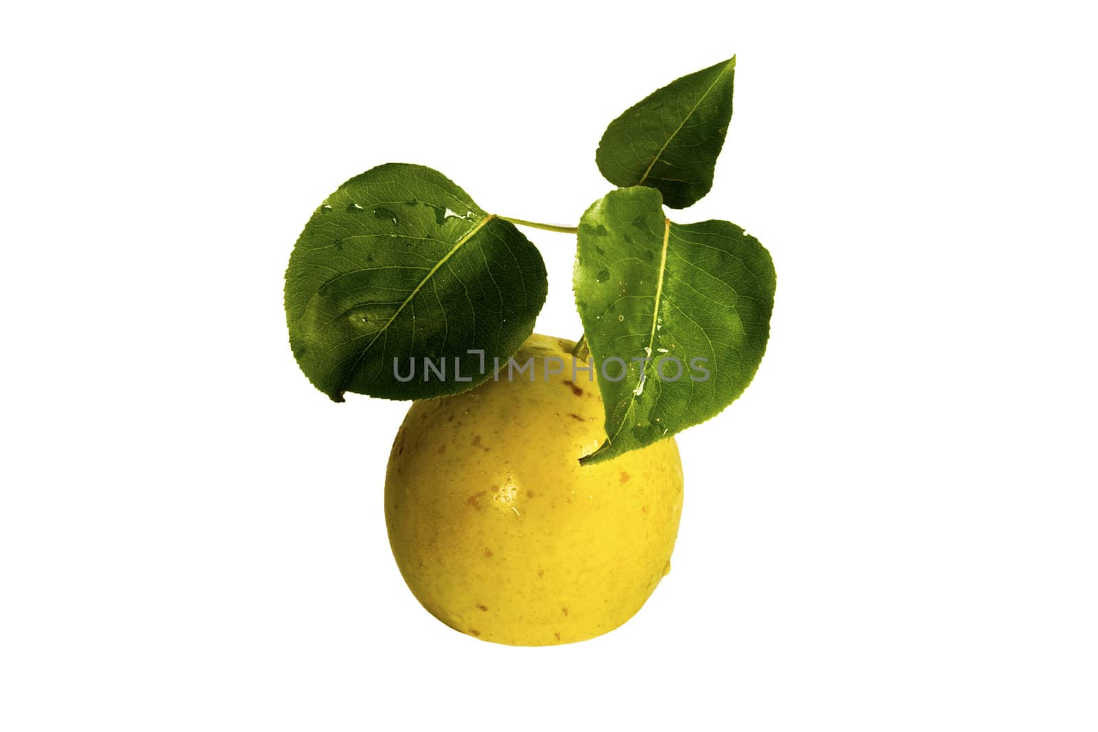 apple pear with leaves isolated over a white background
