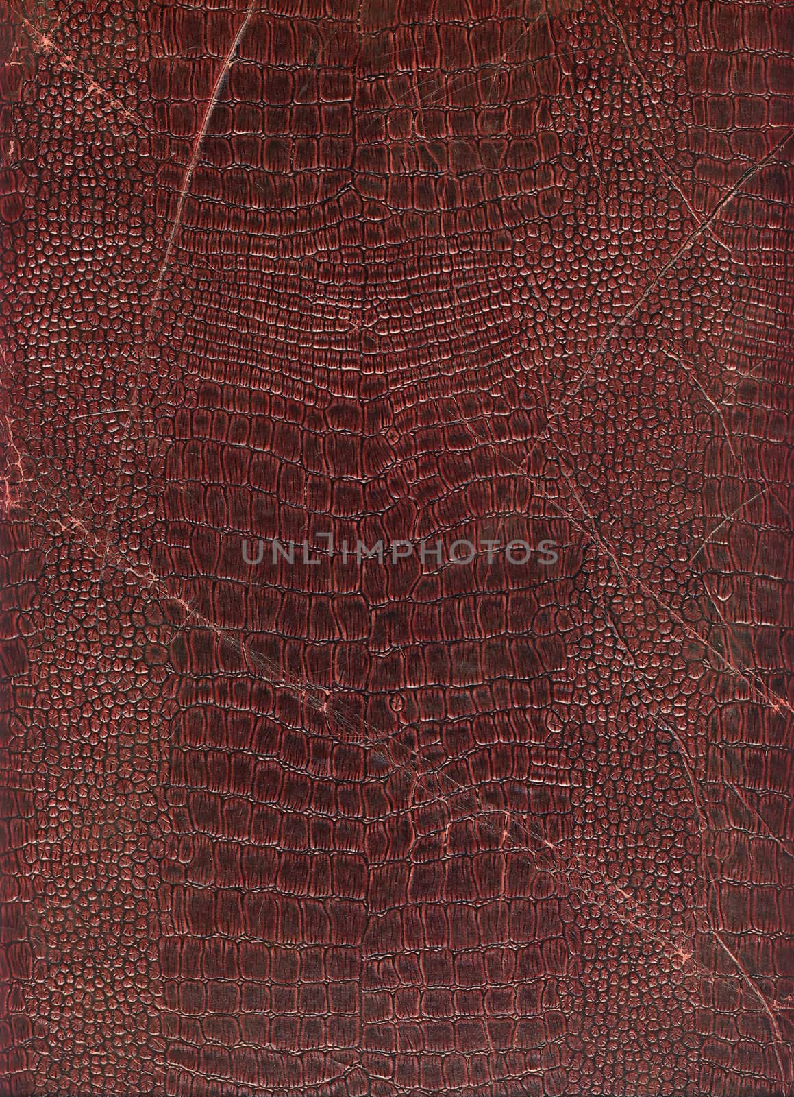 Highly detailed antique book cover close up photo. Great grunge background or grunge layer for your projects