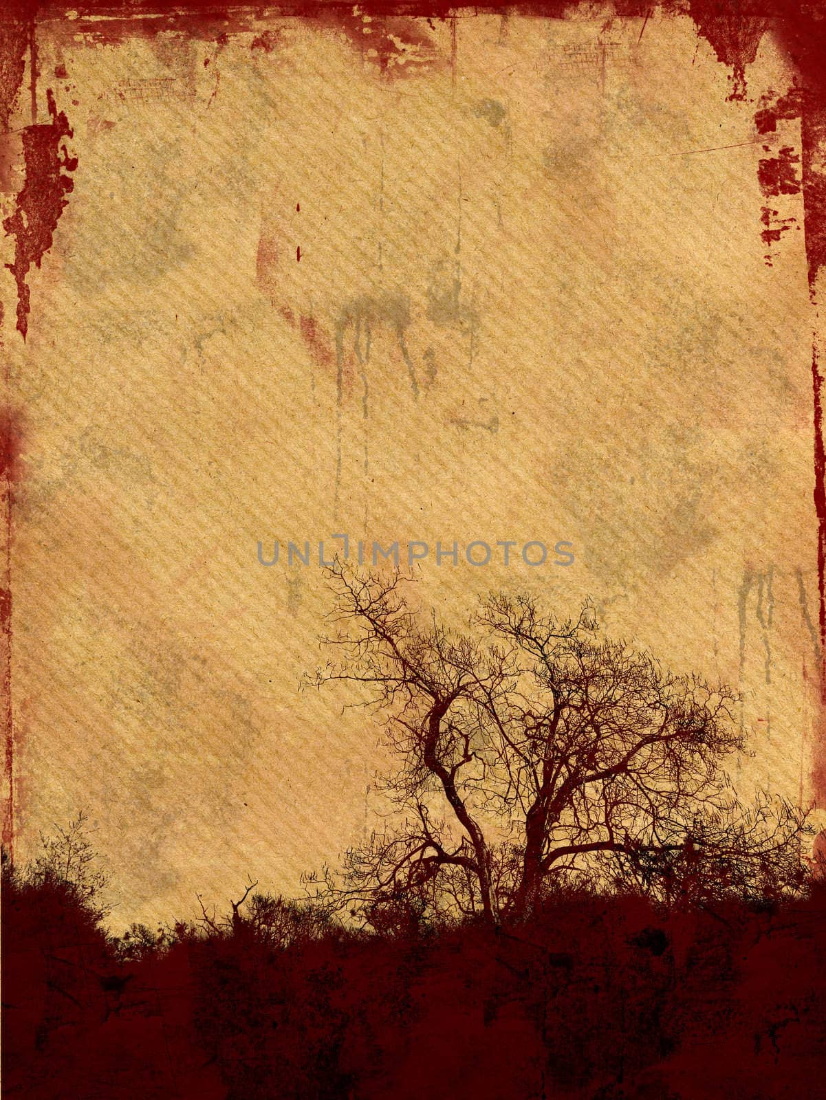 Grunge frame with tree silhouette on aged paper background  with space for your text