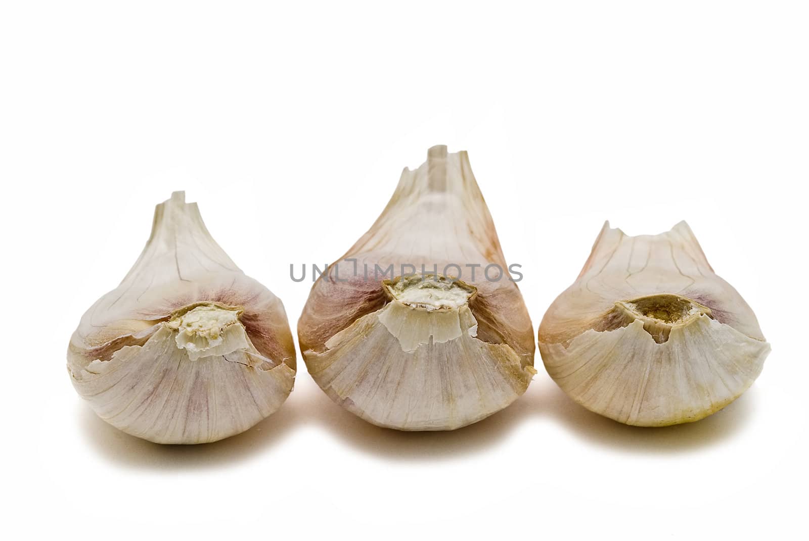 Garlic isolated on a white background.