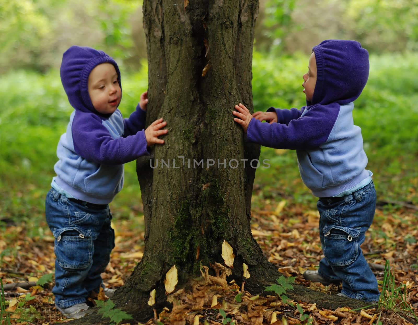 Happy twin toddlers playing in the park in autumn