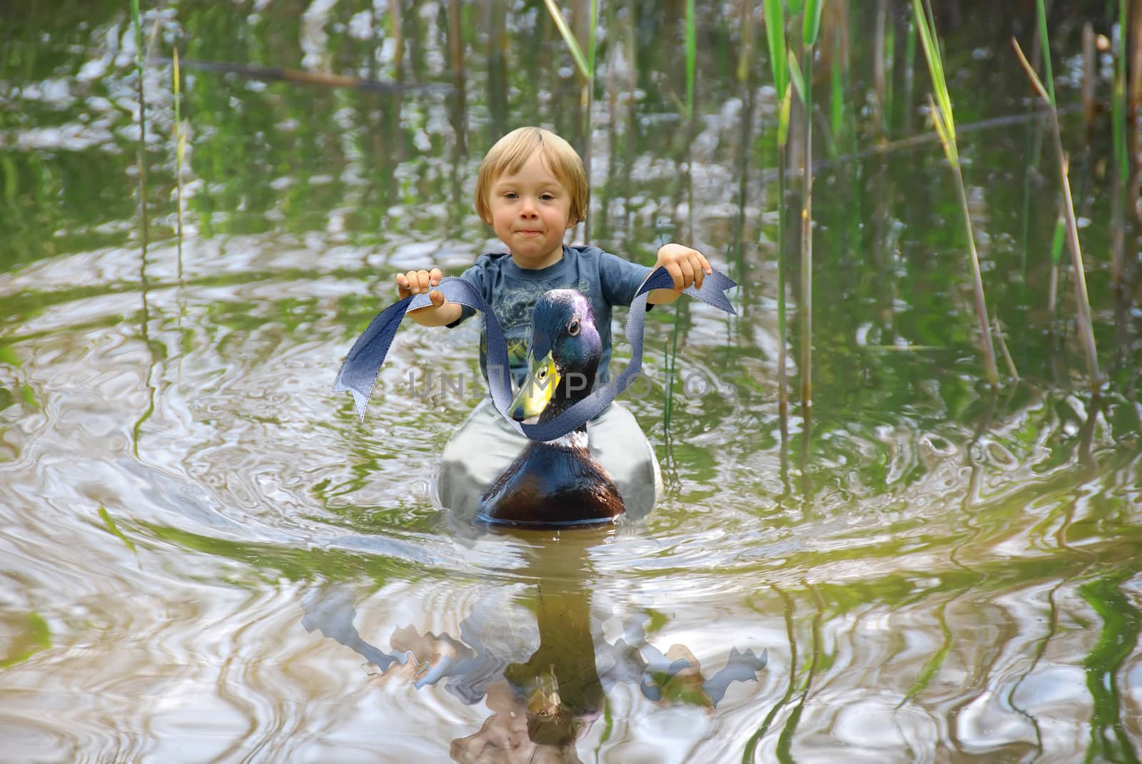 Cute tiny boy riding a duck in a lake