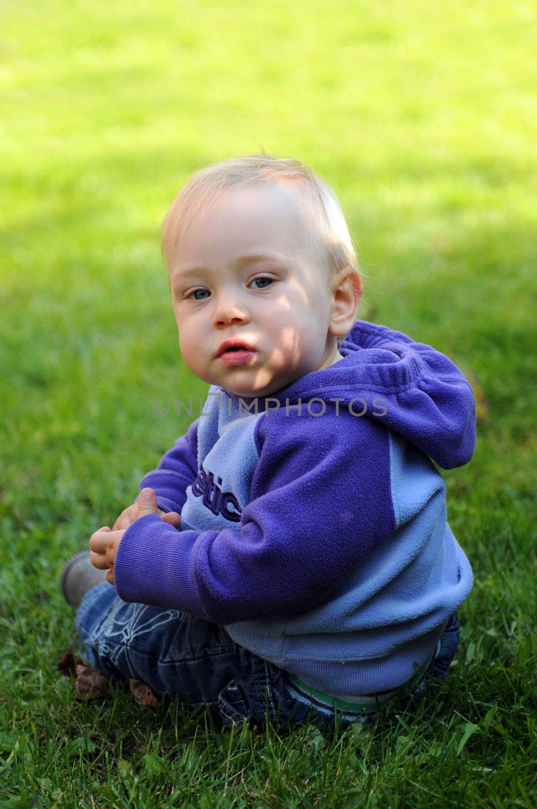 Cute toddler sitting in the grass