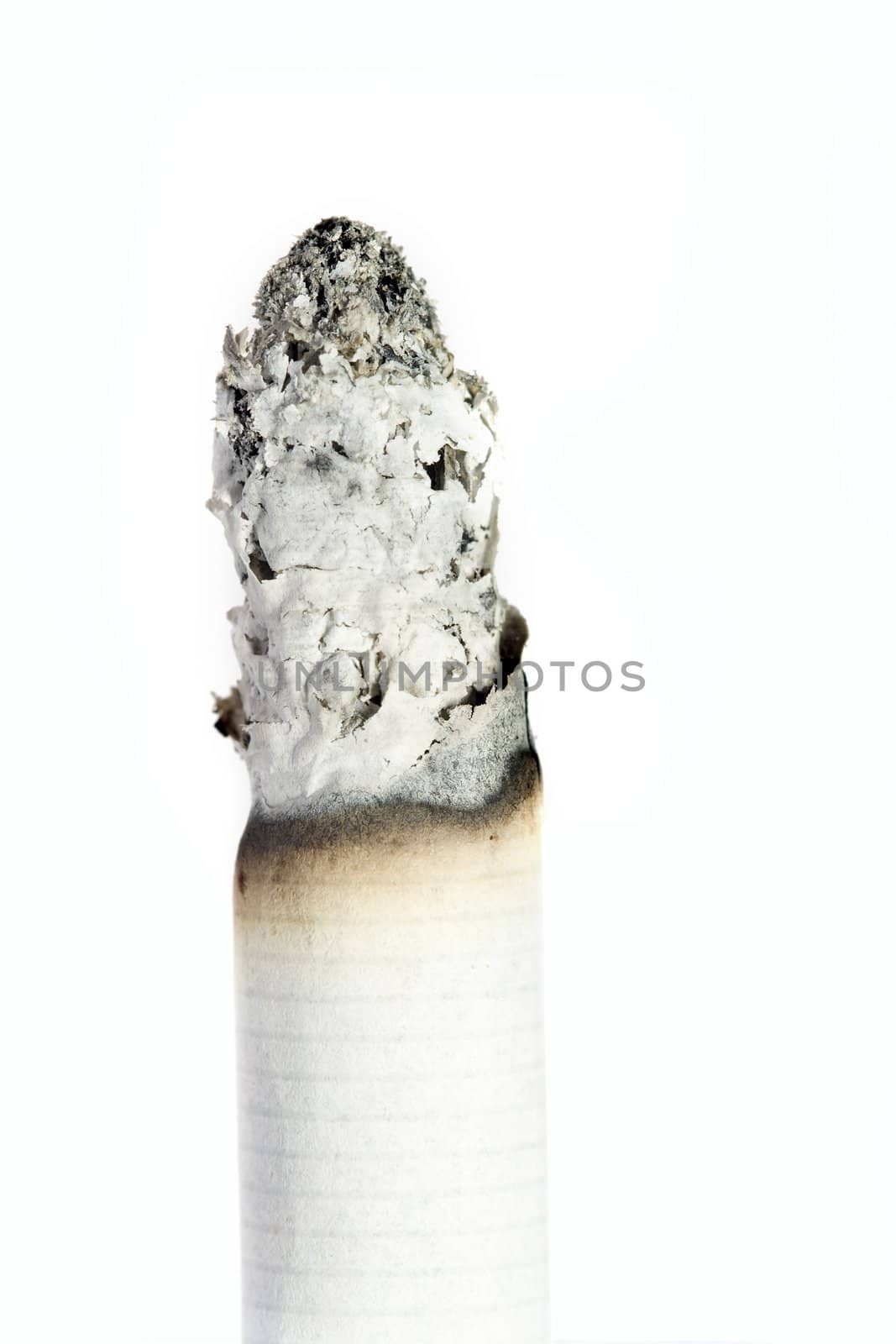 Close up of a cigarette isolated on white background