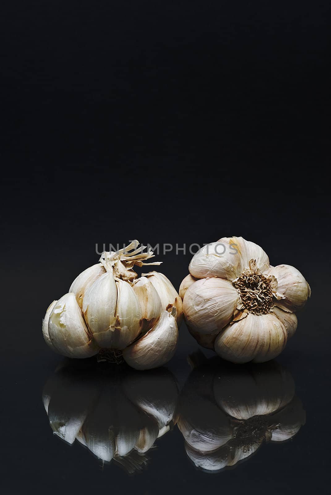 Garlic on black background. by angelsimon