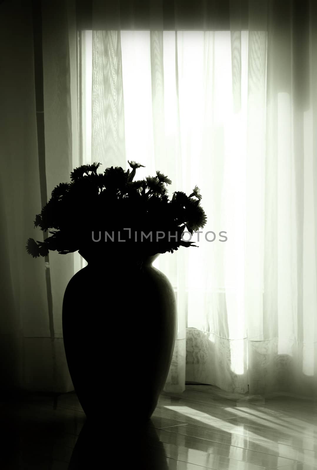 Modern home interior , vase silhouette against the window. Black and white toned photo