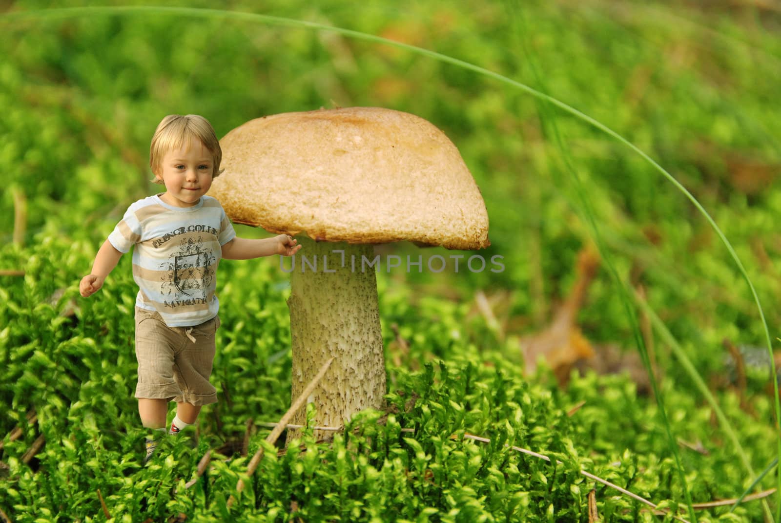 Cute tiny boy playing next to a mushroom in a forest