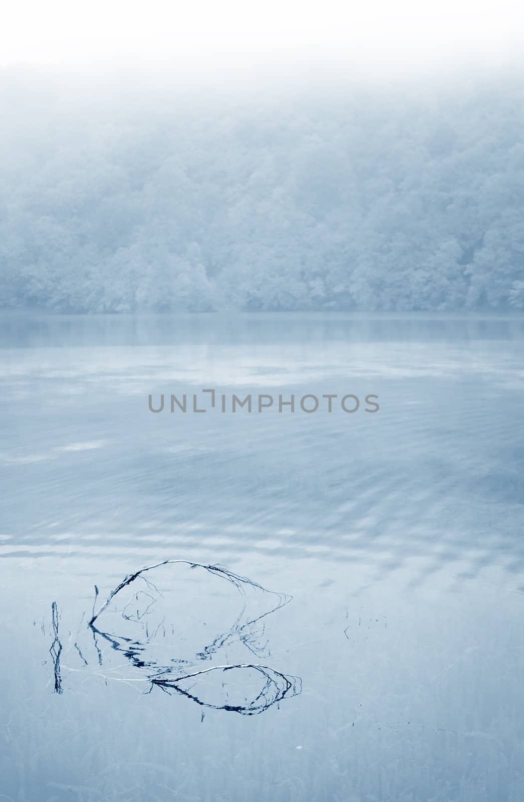 Foggy morning an a lake