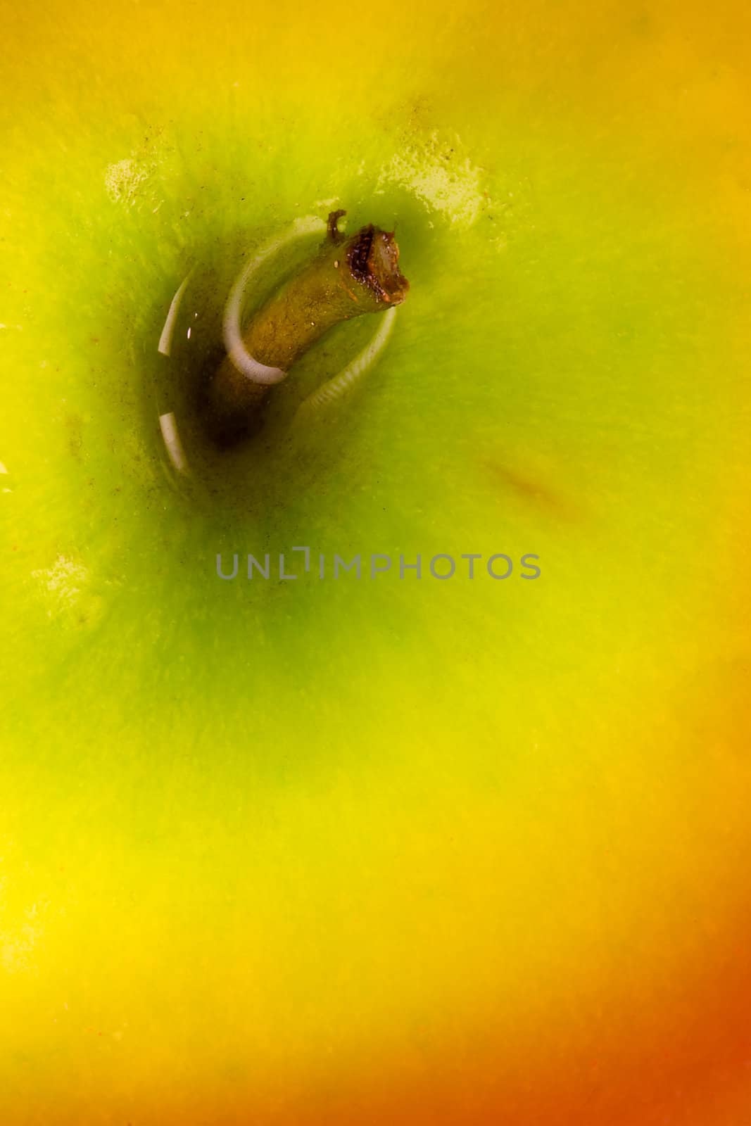 Deliciious red apple close up photo with shallow DOF