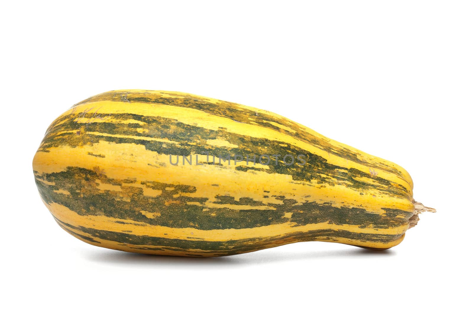 Single fresh pumpkin isolated on white background.