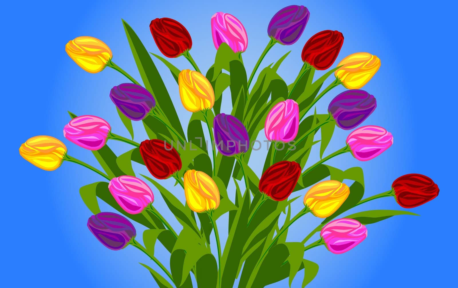 Bunch of tulips