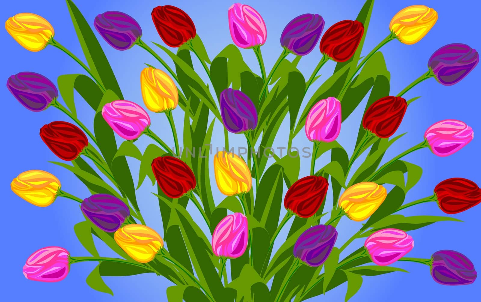 Bunch of tulips