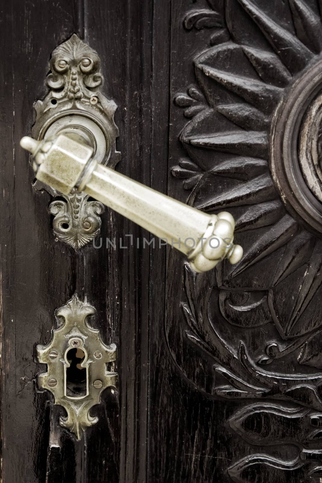 Old wooden doors close up photo