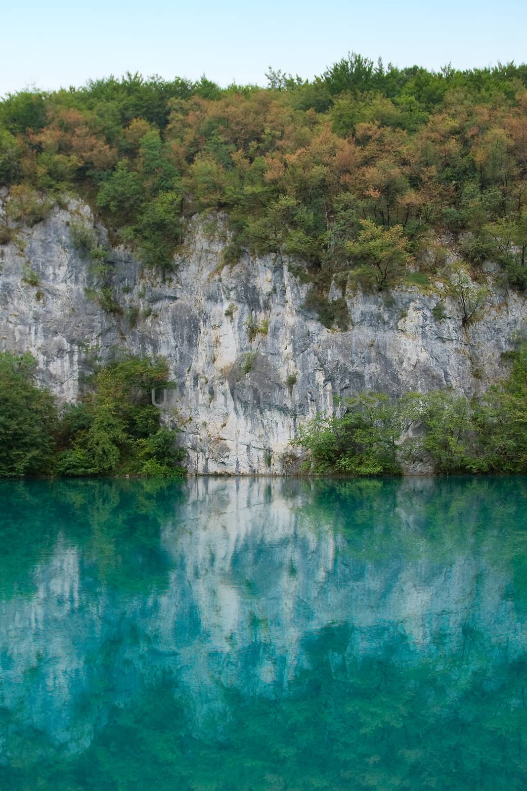 Beautiful landscape of a green lake
