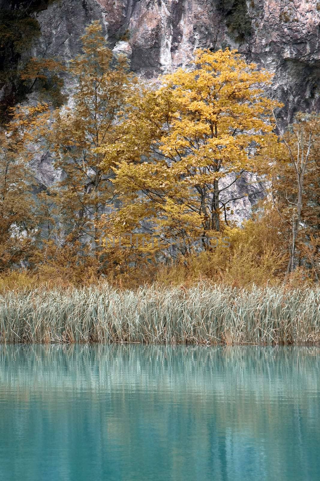 Beautiful landscape of a green lake