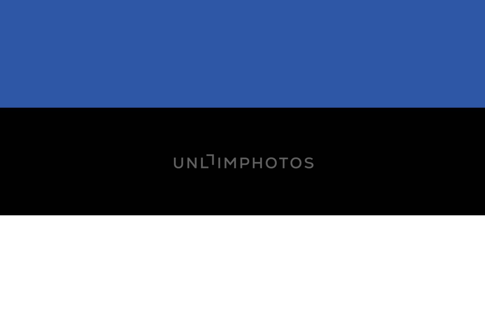 Flag of Estonia by peromarketing