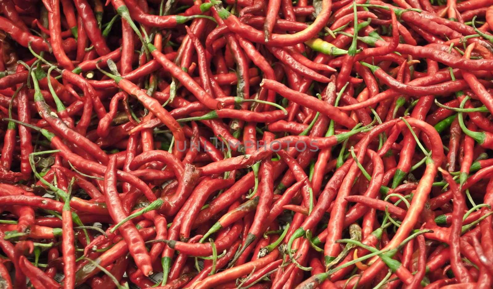 Red hot chili peppers in a market chest