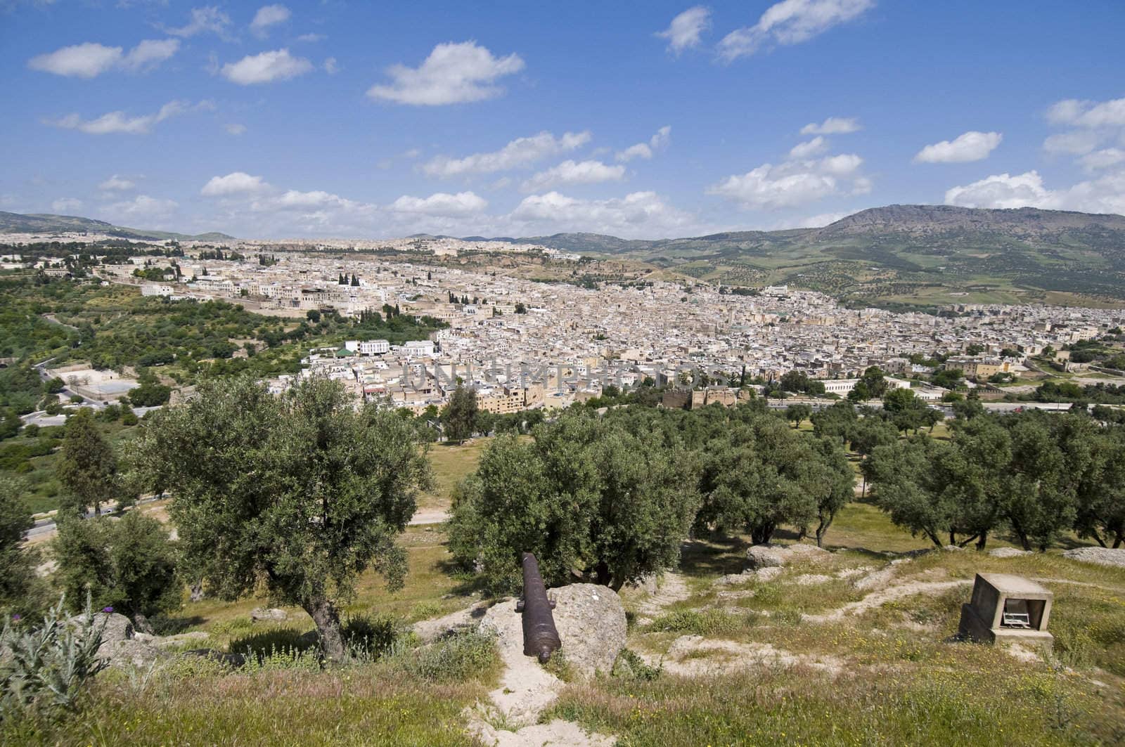 Panoramic view of the imperial city Fez - Best of Morocco