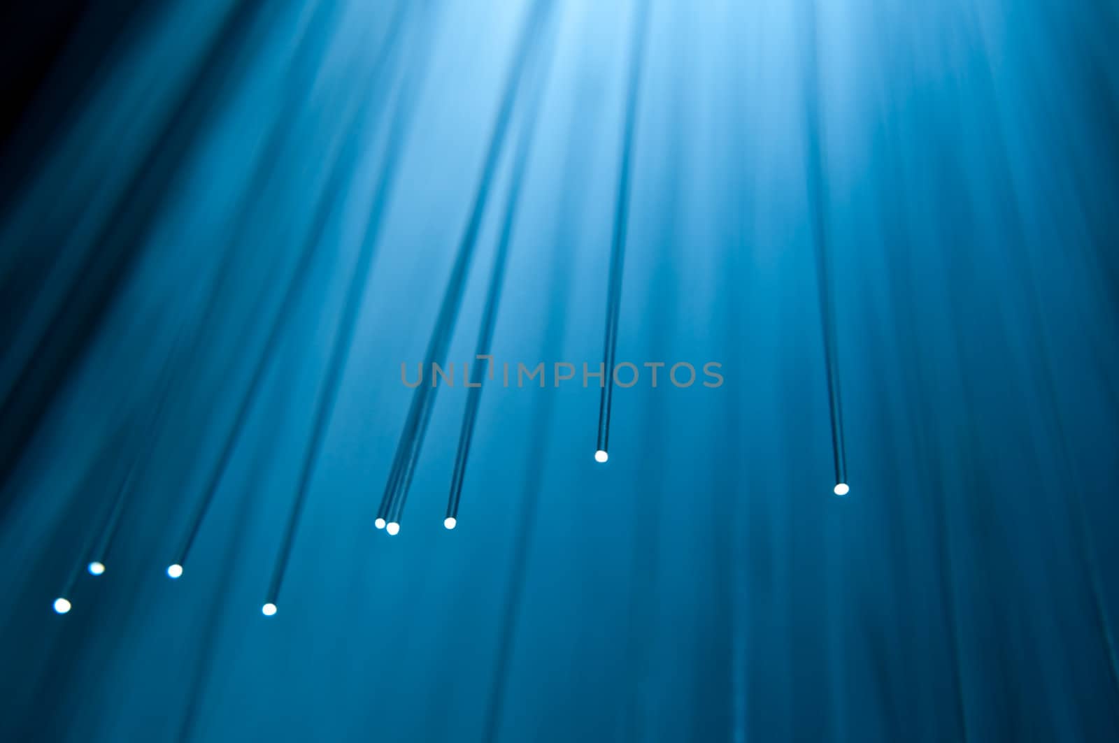 Close up capturing the ends of several illuminated fibre optic light strands against a vibrant blue background.