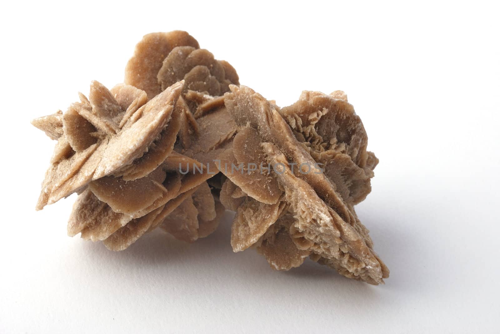 Desert rose rock