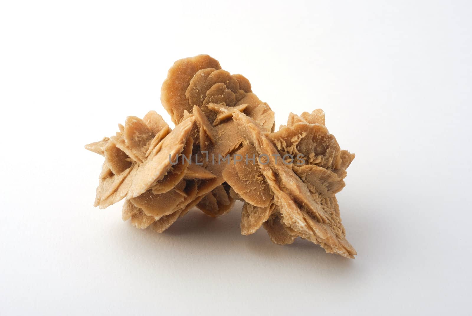 Desert rose rock