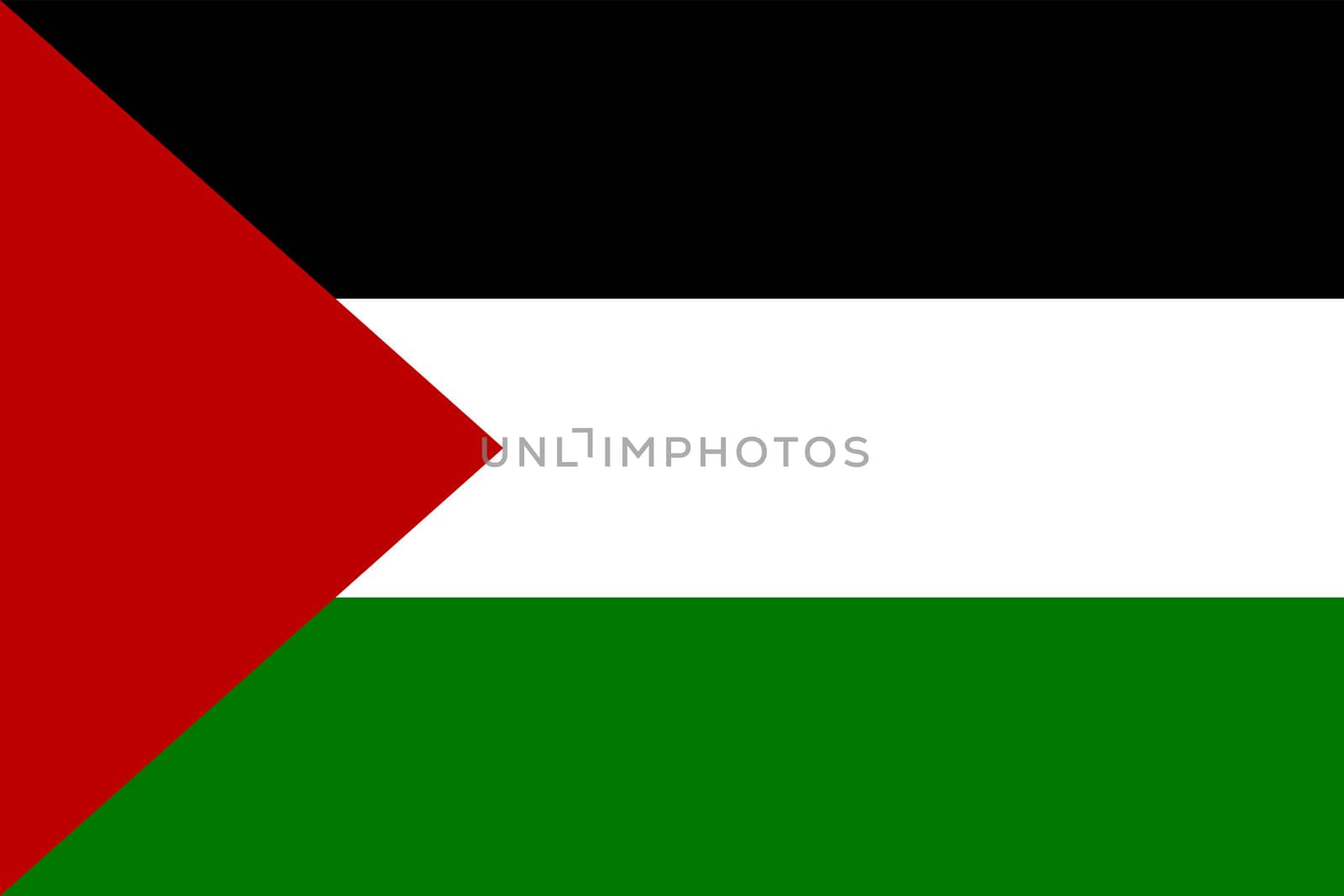 Flag of Palestine by peromarketing