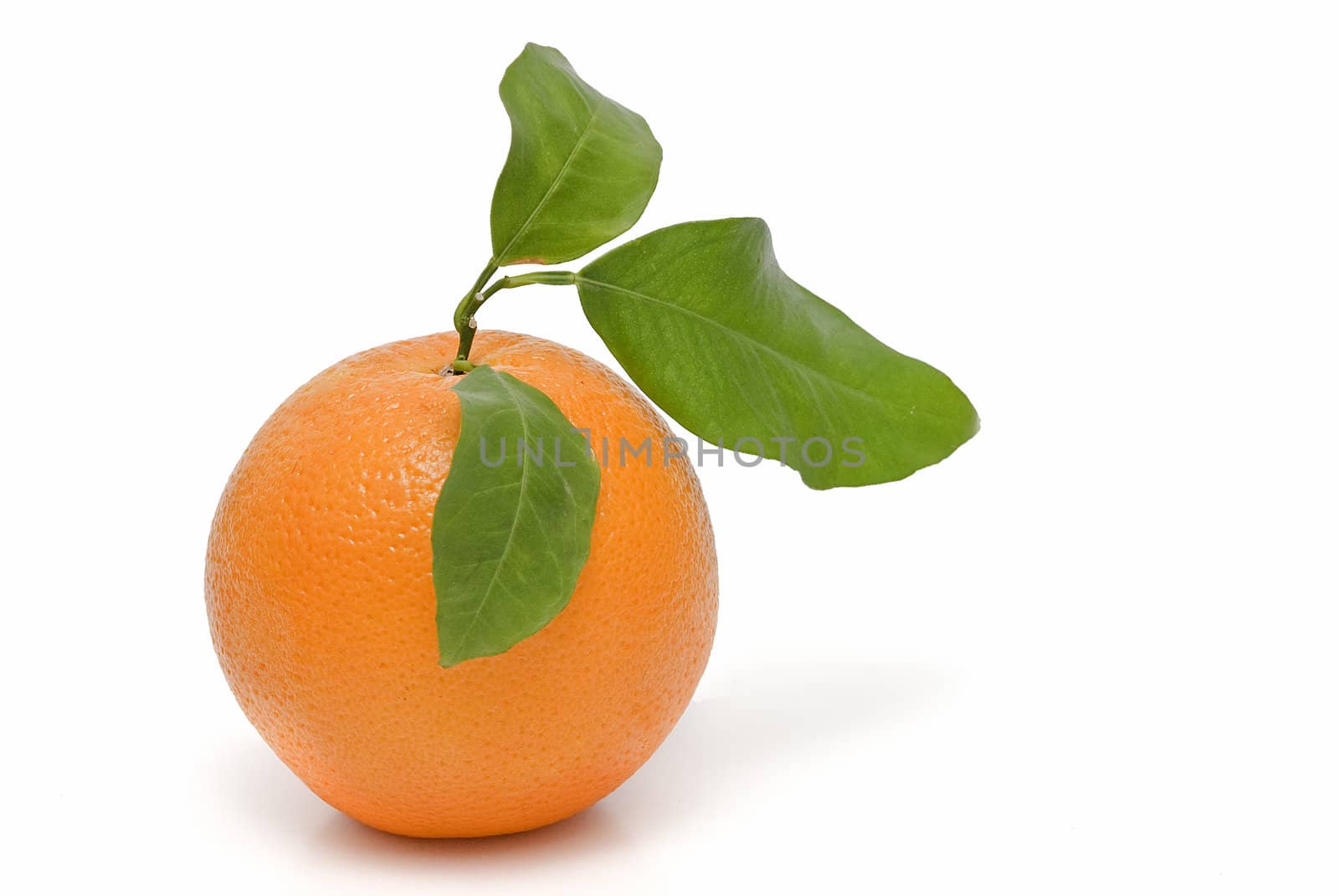 Spanish oranges from Valencia with leaves and its juice isolated on a white background.