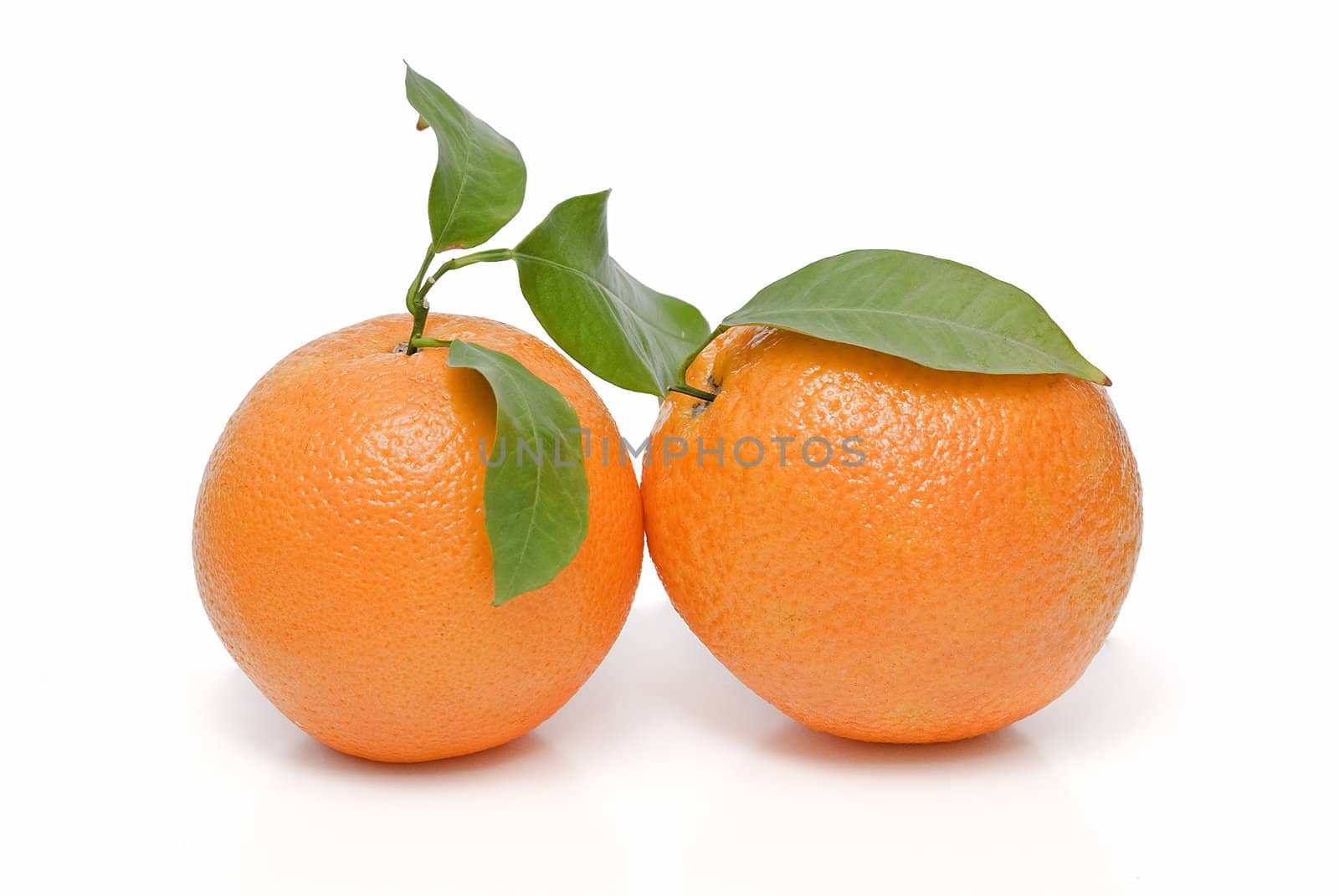 Spanish oranges from Valencia with leaves and its juice isolated on a white background.